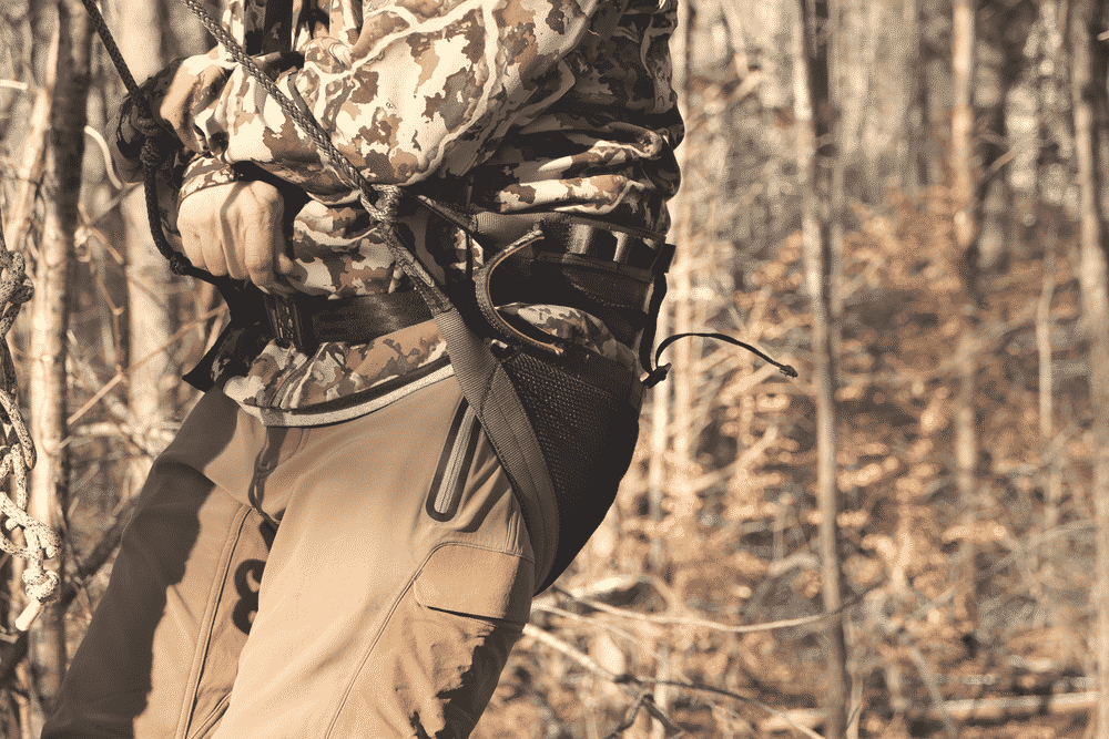 Hunter in tree with CRUZR saddle